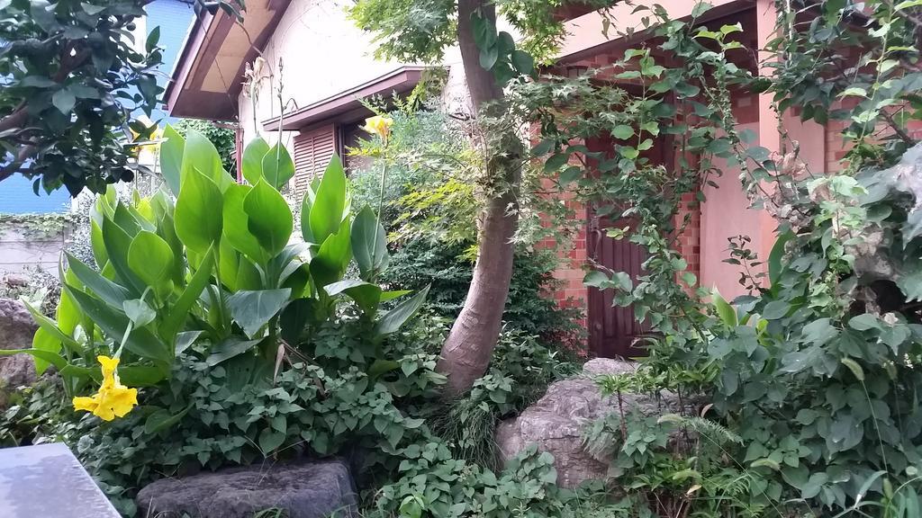 "Cherry House" Is Direct To Narita,Haneda Ap, Disney, Asakusa, Skytree Tower, Tokyo Matsudo Luaran gambar