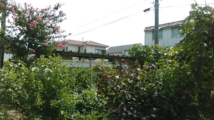"Cherry House" Is Direct To Narita,Haneda Ap, Disney, Asakusa, Skytree Tower, Tokyo Matsudo Luaran gambar