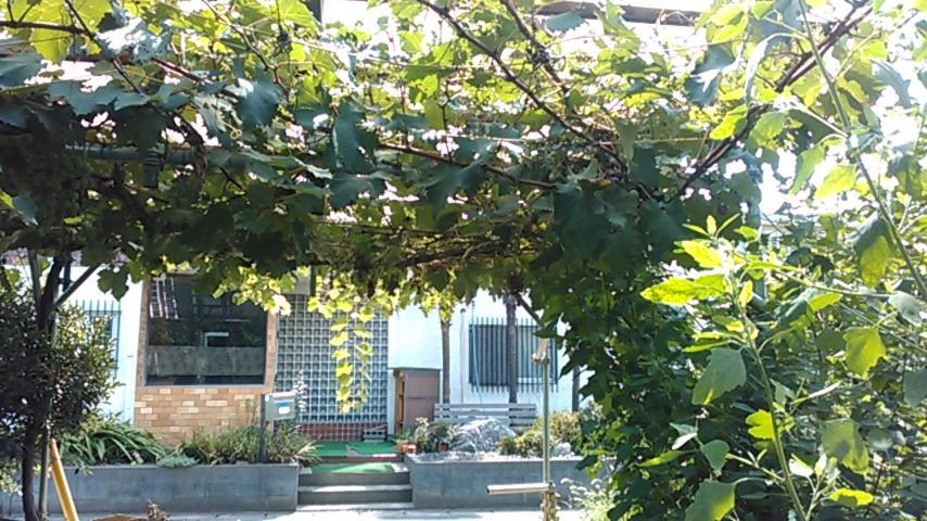 "Cherry House" Is Direct To Narita,Haneda Ap, Disney, Asakusa, Skytree Tower, Tokyo Matsudo Luaran gambar